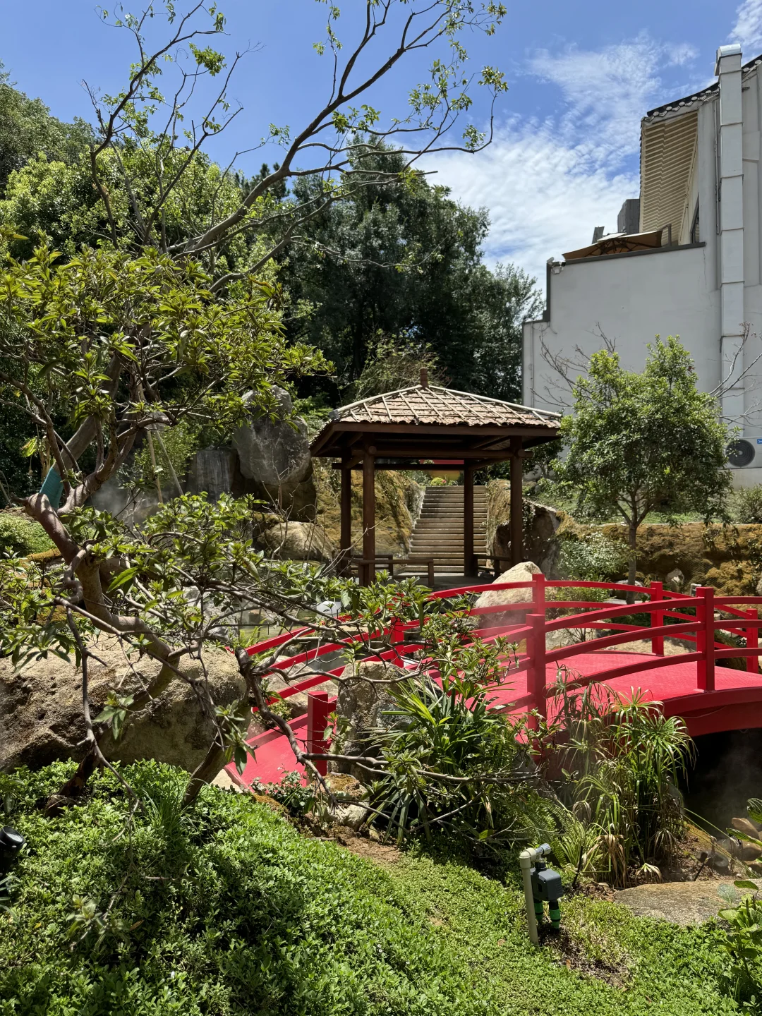 武汉很值得的一顿饭🥢美如仙境的中式园林餐