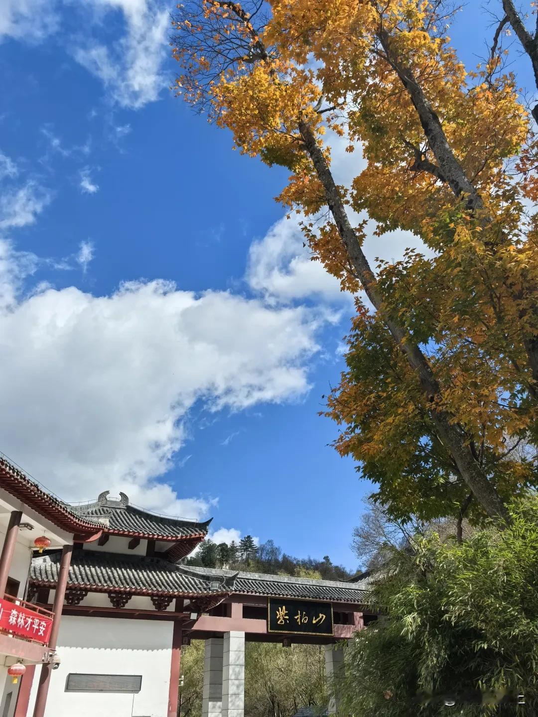 紫柏山已到秋季的最佳观赏期。在这段时间里，大自然这位神奇的画师，用它的妙笔在紫柏