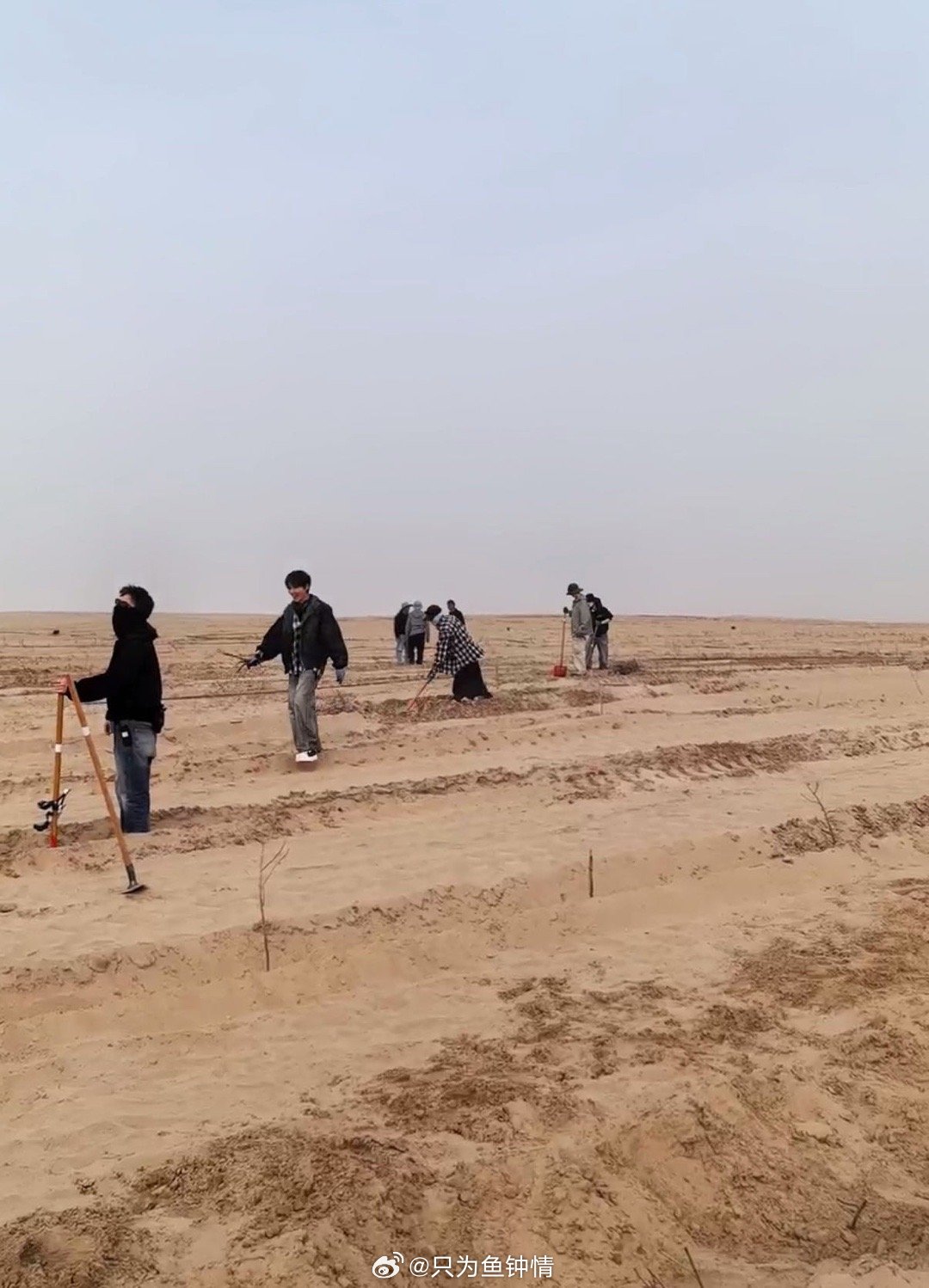 十个勤天要在沙漠种玫瑰 直播点进去就看到他们在沙漠里挖坑，还以为搞什么大工程。结