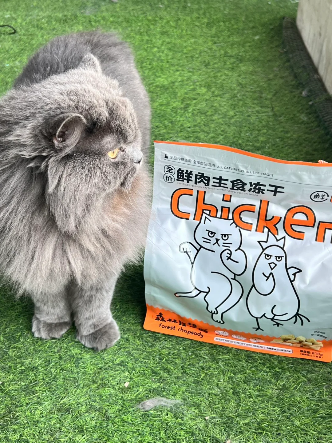 🐾终于等到你，双猫家庭抢着吃的冻干猫粮！