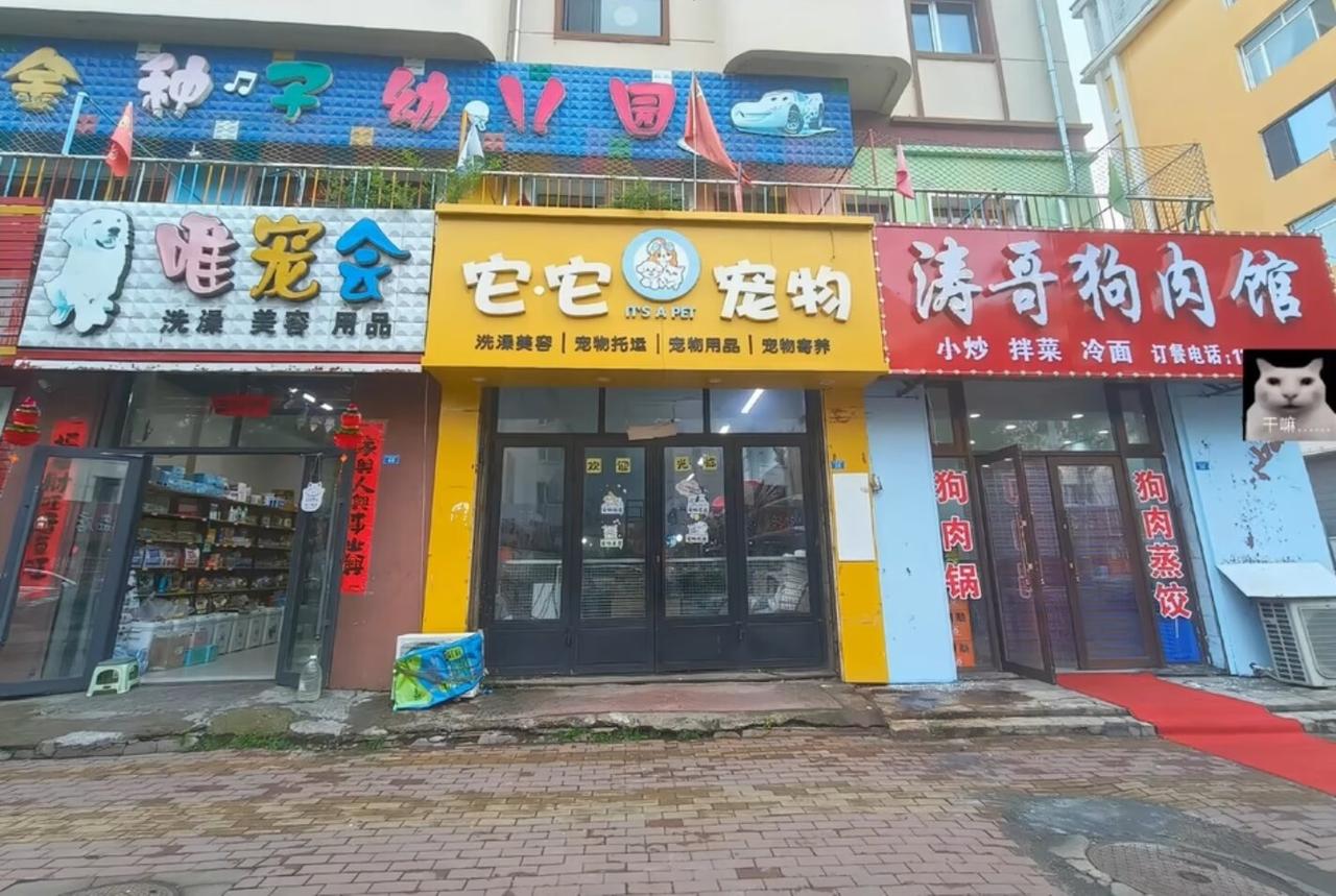 幼儿园、宠物店、狗肉馆，这是怎样做到和谐共处的？
