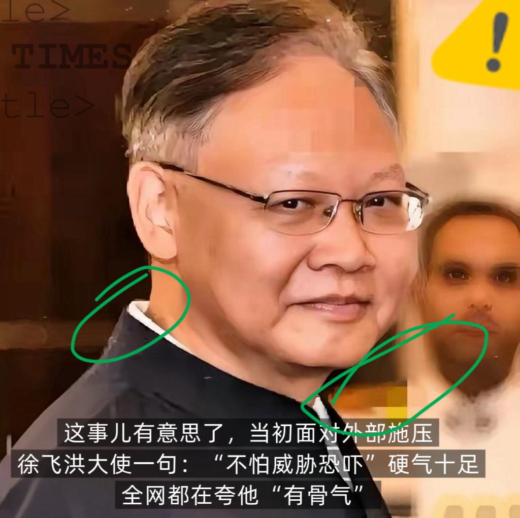 直到看到徐飞洪
在金砖国家外长会晤的发言
我才明白了，他根本不是大家误以为的对印