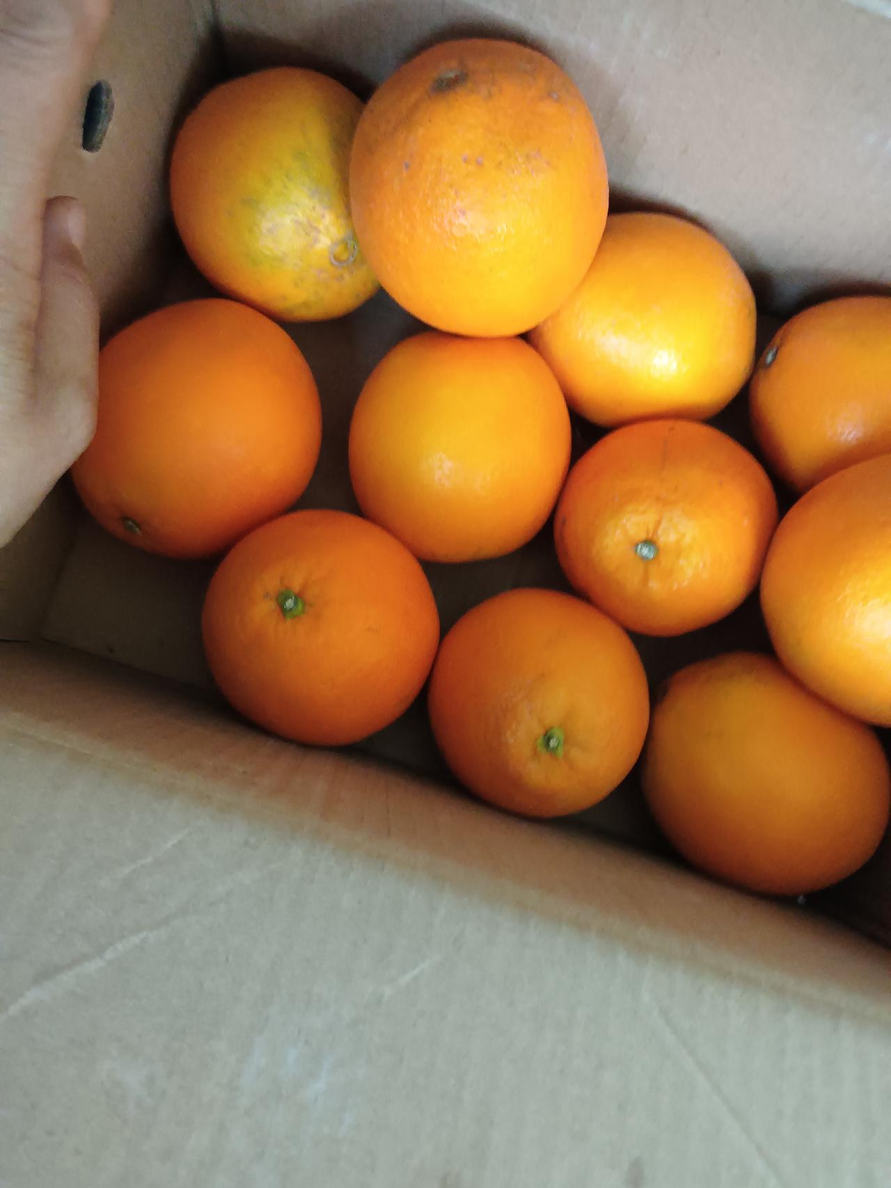 一箱橙子，颜色鲜艳，看起来很好吃。自然健康，美味儿多汁，是儿子从箱给邮来的。
有