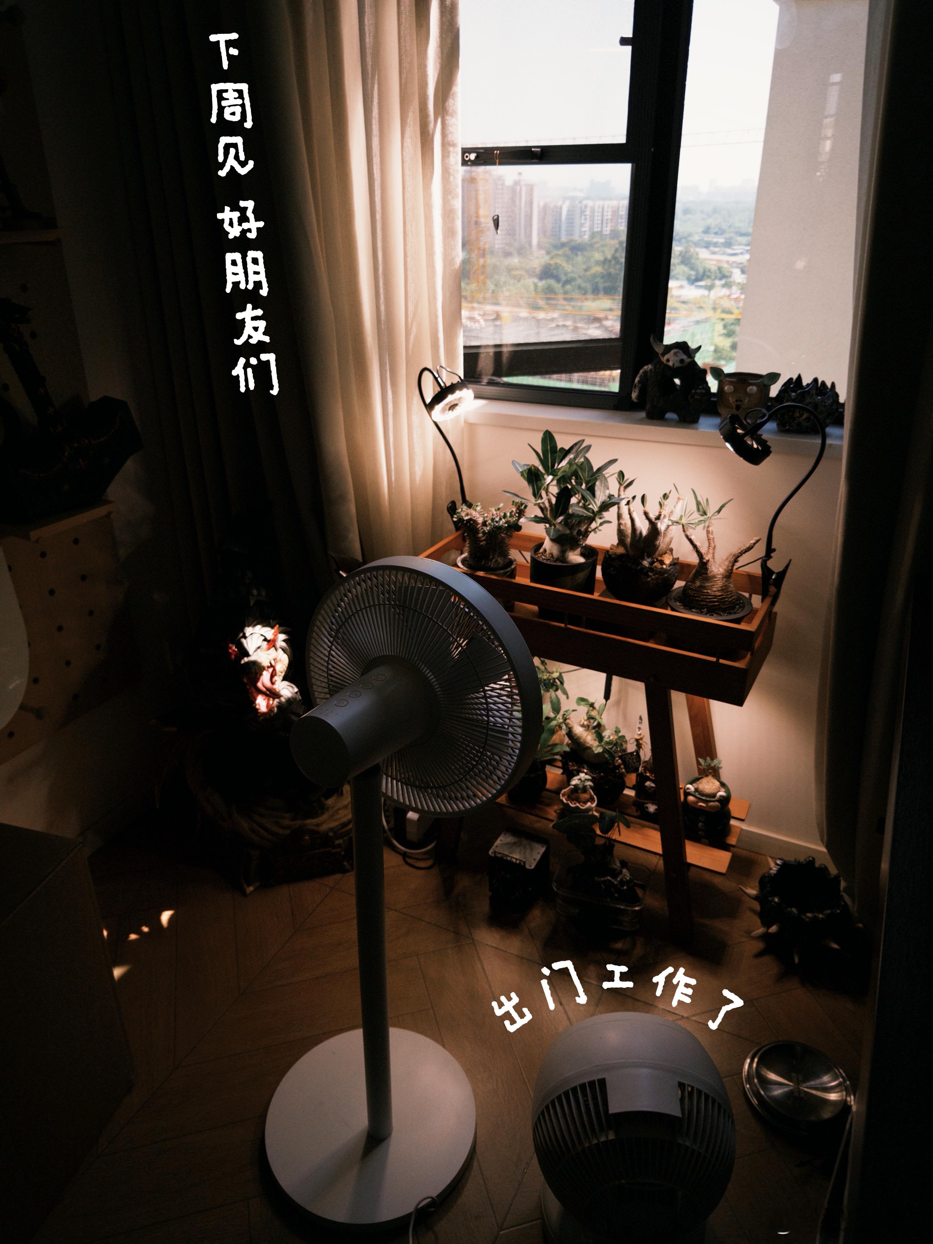昨天晚上给植物们都浇完水、把风扇给植物们插好、今天要出门拍视频了，这次有点紧张，