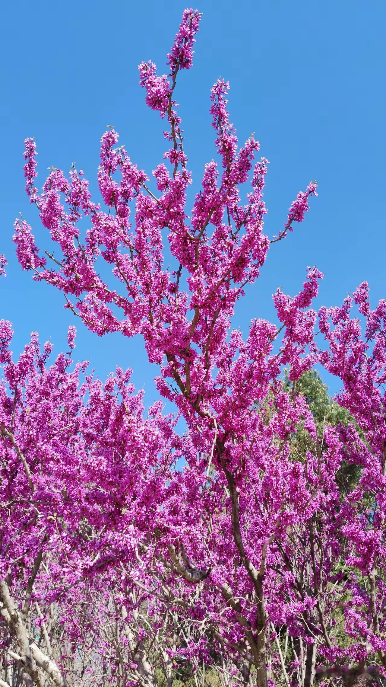 病秧子还活着，那个生龙活虎的人却走了。
我原来工作的时候，车间里有两个工友比较出