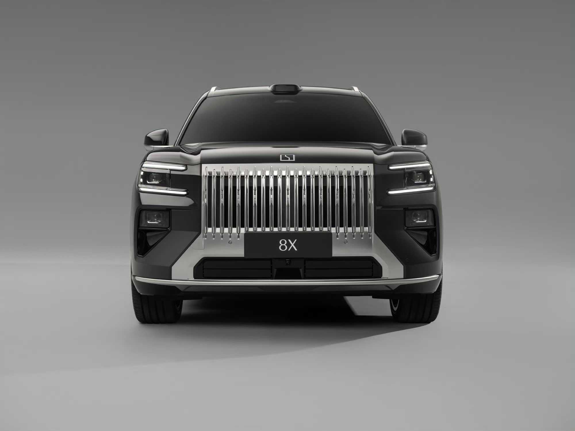 今年上半年，极氪8X也要来了，它的大哥极氪9X的发布会去过，作为行政豪华旗舰，够