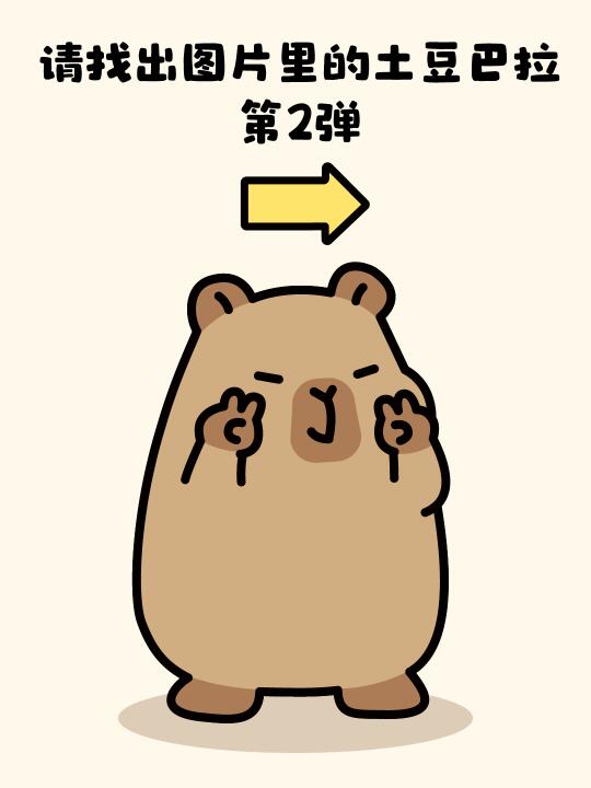 请 找 卡皮巴拉2.0