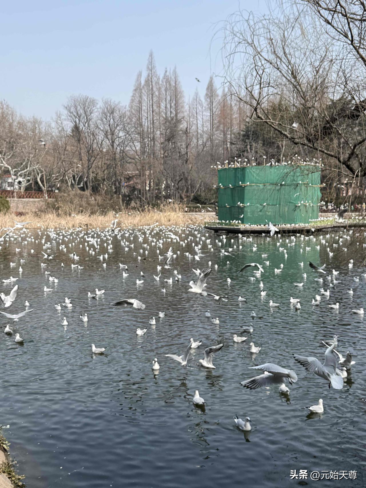 11点半左右了我才往家走。原创。