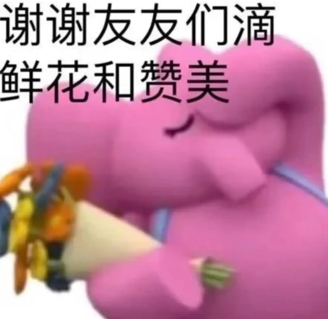 谢谢友