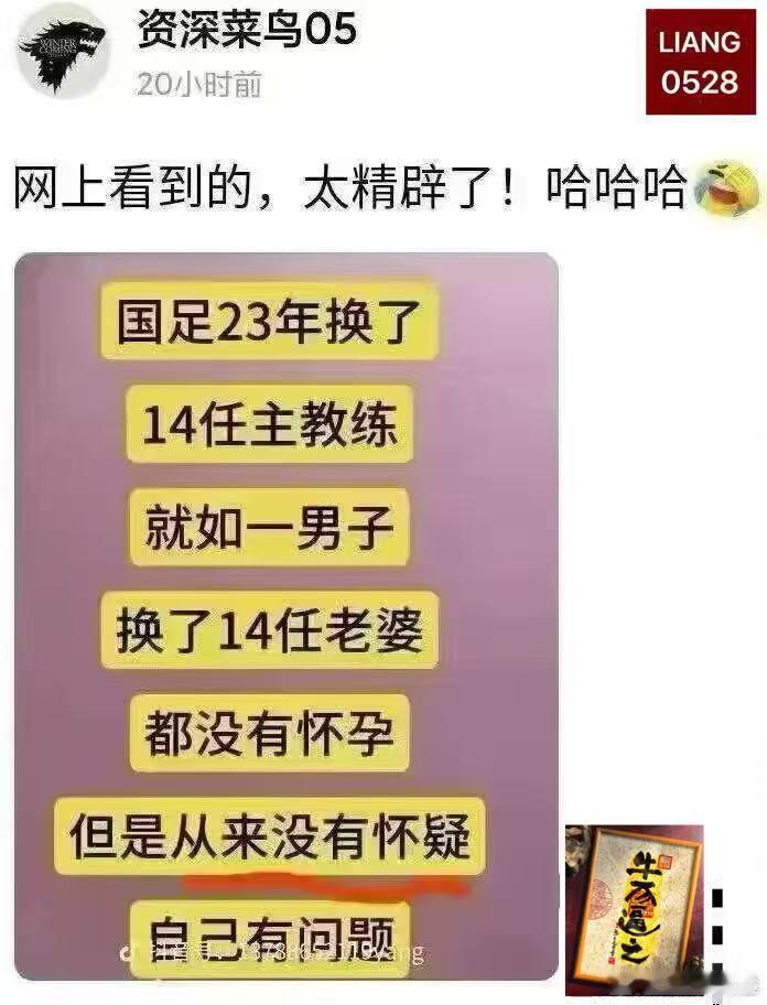 菜鸟有时也吃肉，因为吃了肉说岀来的话就是晕话