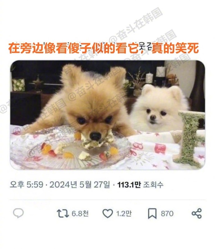 当我那个小鸟胃的朋友看我吃饭时 海外新鲜事 热点现场