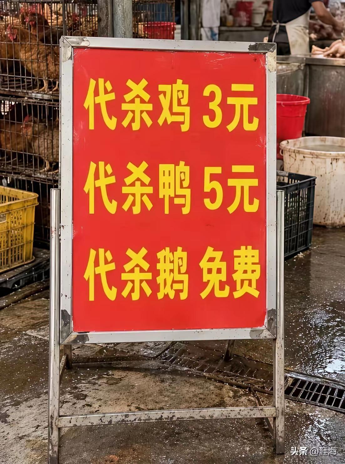 有人说现在的鹅毛🪶一根就要三毛钱，鹅绒一斤更是要500块，所以杀一个鹅净赚几十