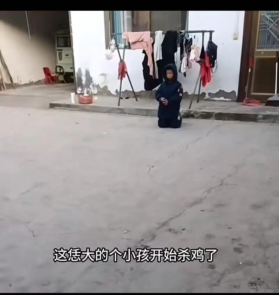 在一个阳光明媚的早晨，小明偷偷溜进厨房，心跳如擂鼓，手中紧握着那只刚刚养了几个月