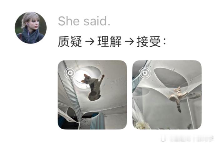 论猫对蚊帐的喜爱程度 ​​​