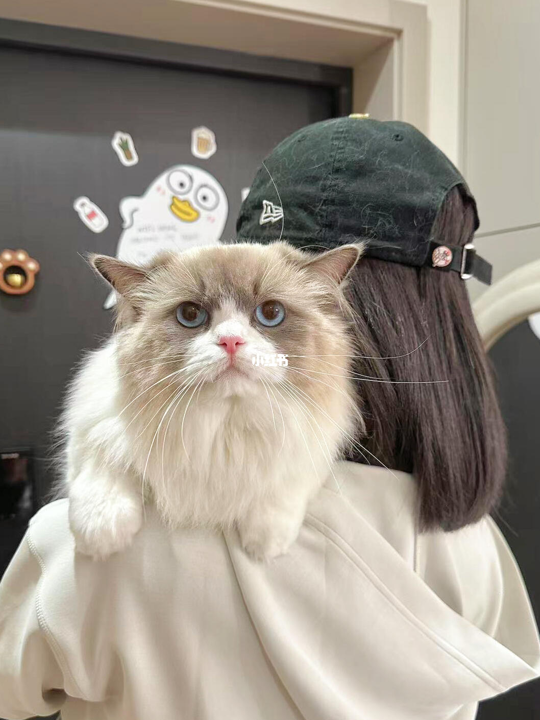 大树不苗，麻麻酱～