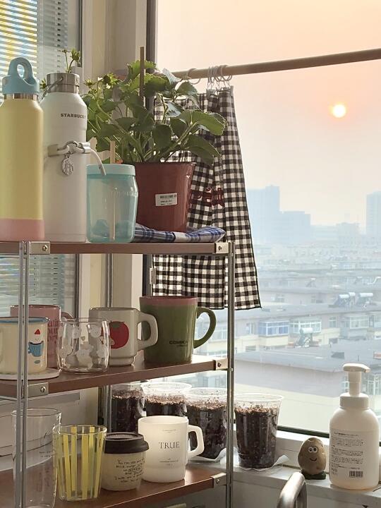 🌟叮～水池子边上长满了杯子！