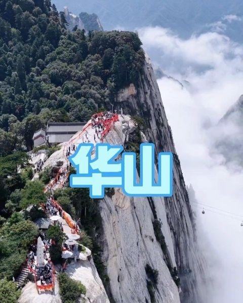 华山剑指苍穹！敢来挑战你的胆量吗？
📍地址：陕西省渭南市华阴市华山镇集灵路与华