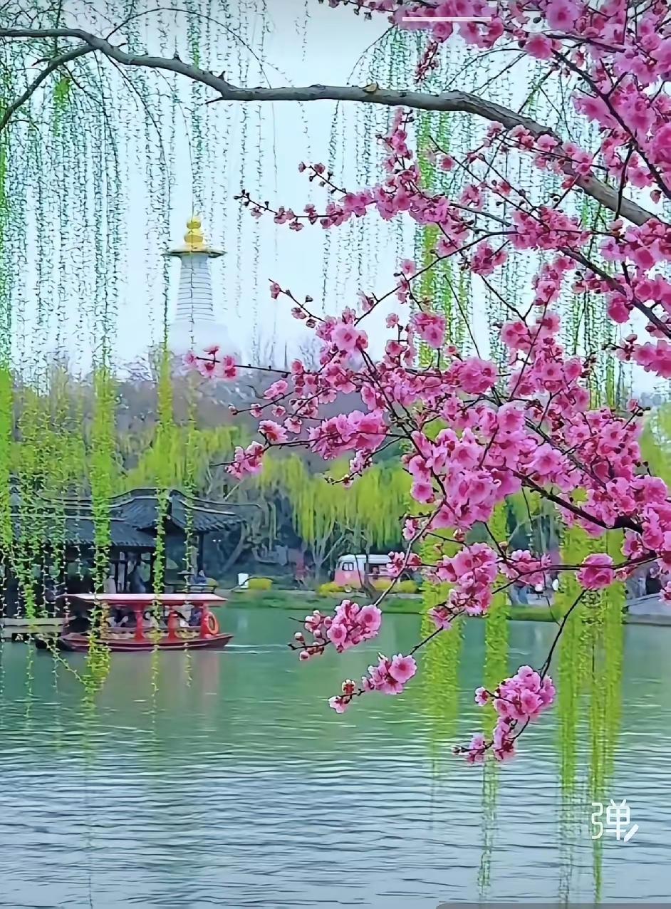 愿中年，都能活得不慌不忙
 
走过半生，风雨都尝，不再为琐事纠结，不再为流言慌张