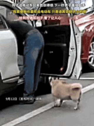 万万没想到！湖南，女子骑车回家，突然被路边狗子追，吓得女子口吐芬芳，狗子没追上，