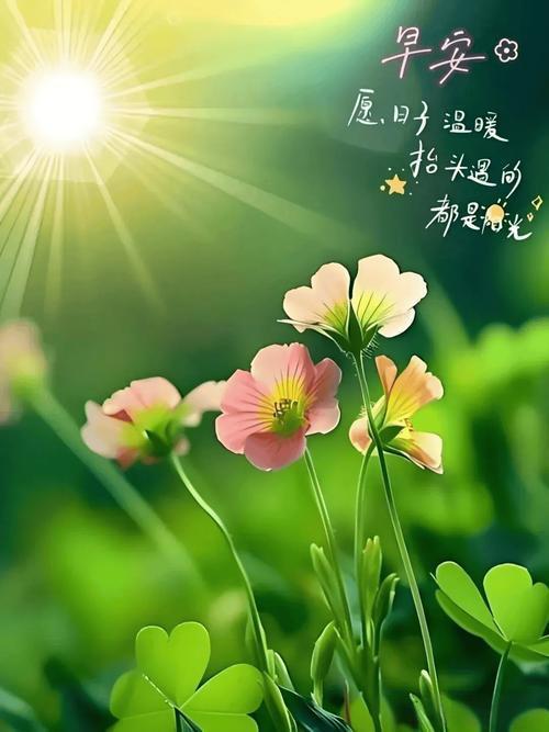被人民日报这段话暖到了：“不管你有多么喜欢一个人，都不要纠结他能陪你多久，或者能