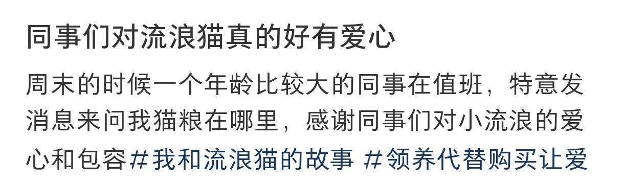 同事们对流浪猫真的好有爱心  同事们对流浪猫真的好有爱心 