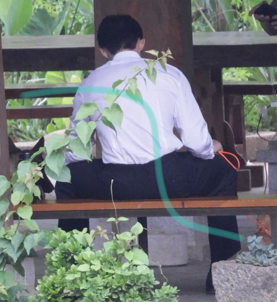 好家伙怎么一边遛夏天一边摸元宝（dp哥说夏天被大狗狗吓到了） 