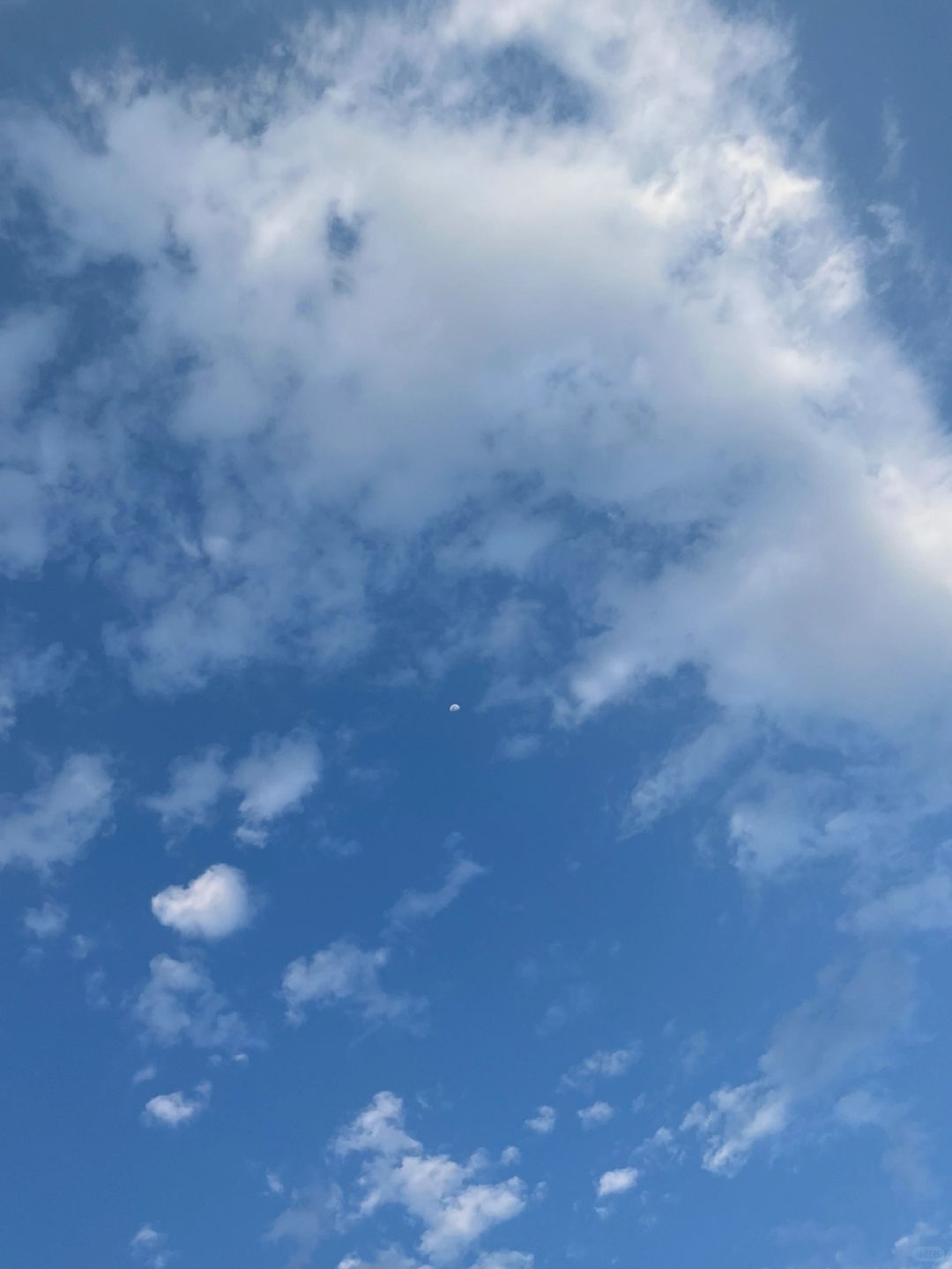 上班噜上班噜 聊聊过年的一些八卦