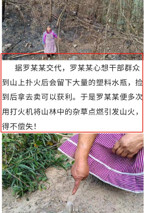 大妈为捡塑料瓶竟放火烧山  “据罗某某交代，她心想干部群众到山上扑火会留下大量塑