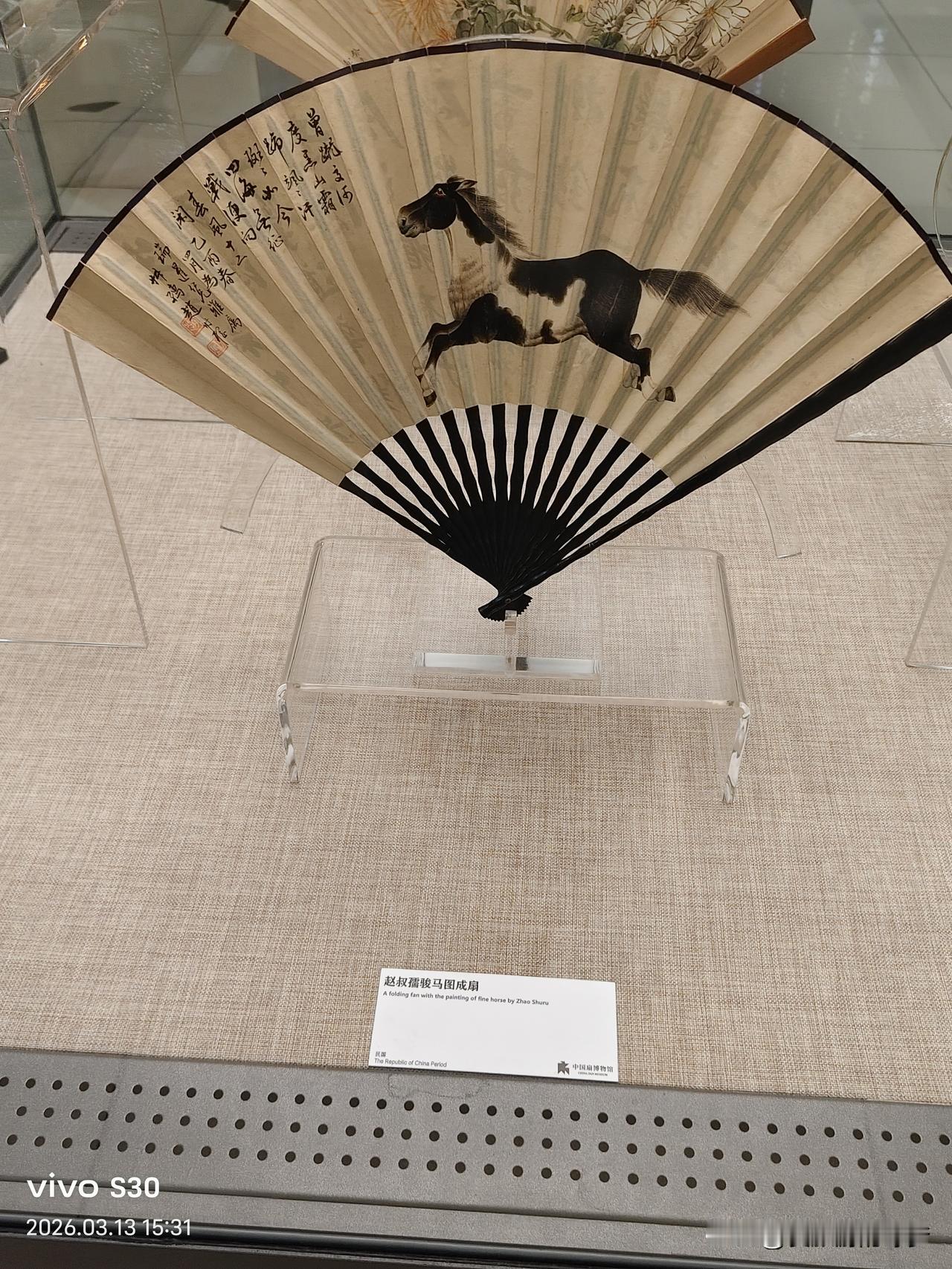春日生活打卡季