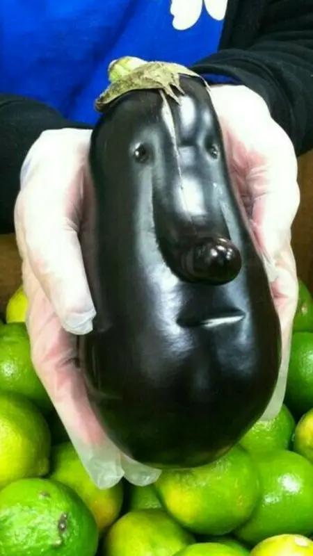 我发现了老板的一个秘密。

他每天下班后躲在办公室吃增发胶囊。

今天他叫住我时