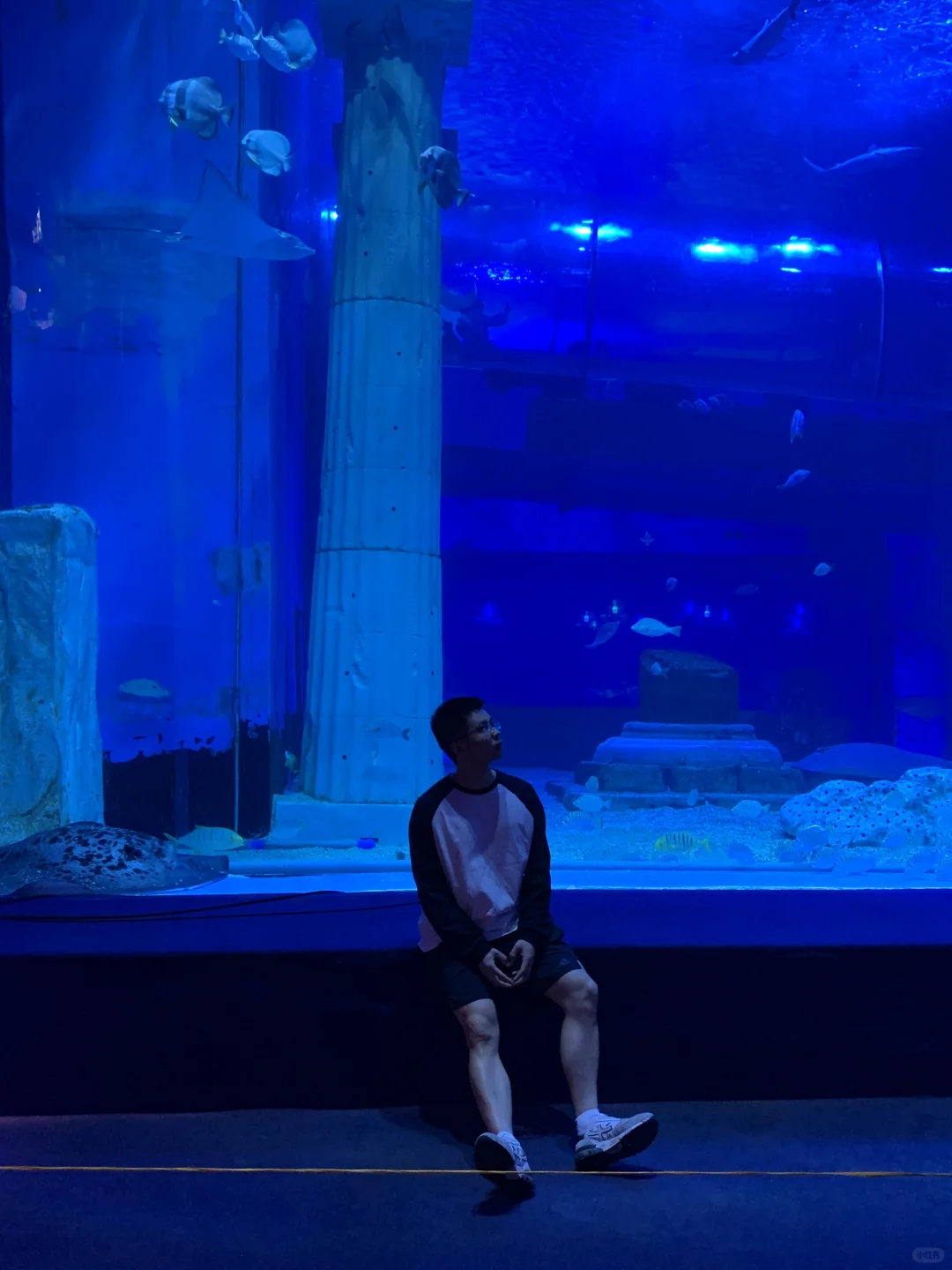 live直出！自带氛围感的海洋馆太治愈了！