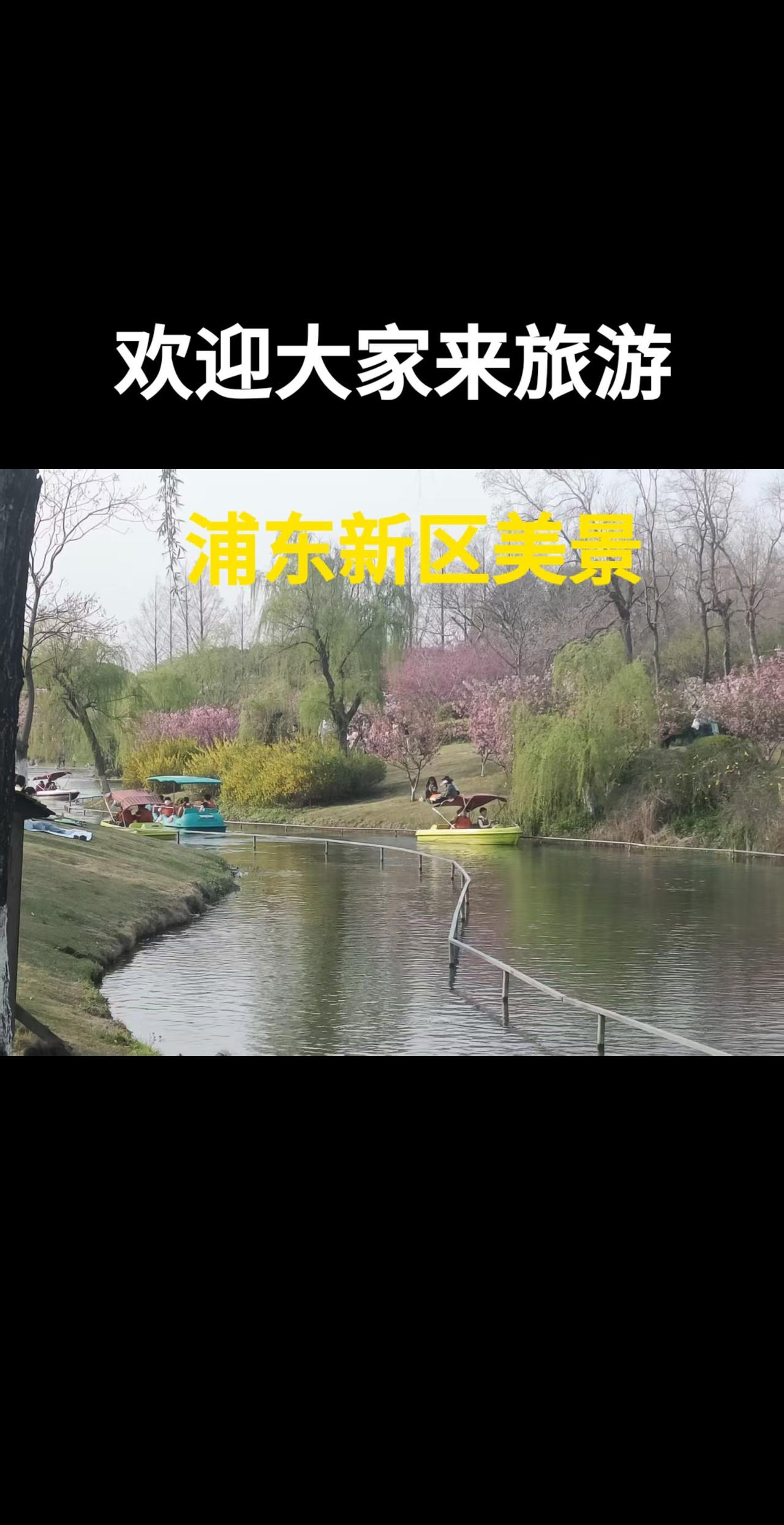 上海 旅游 美景 假期 家庭