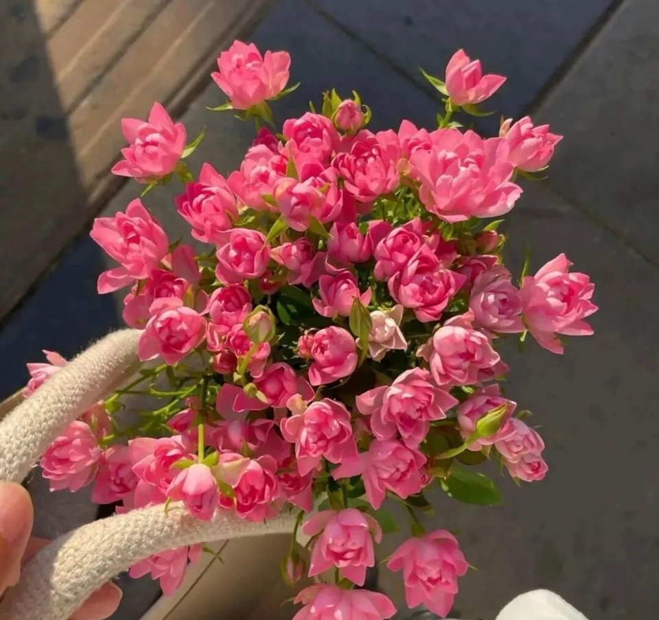 三餐四季，安稳自在，平安喜乐就是最好的状态 