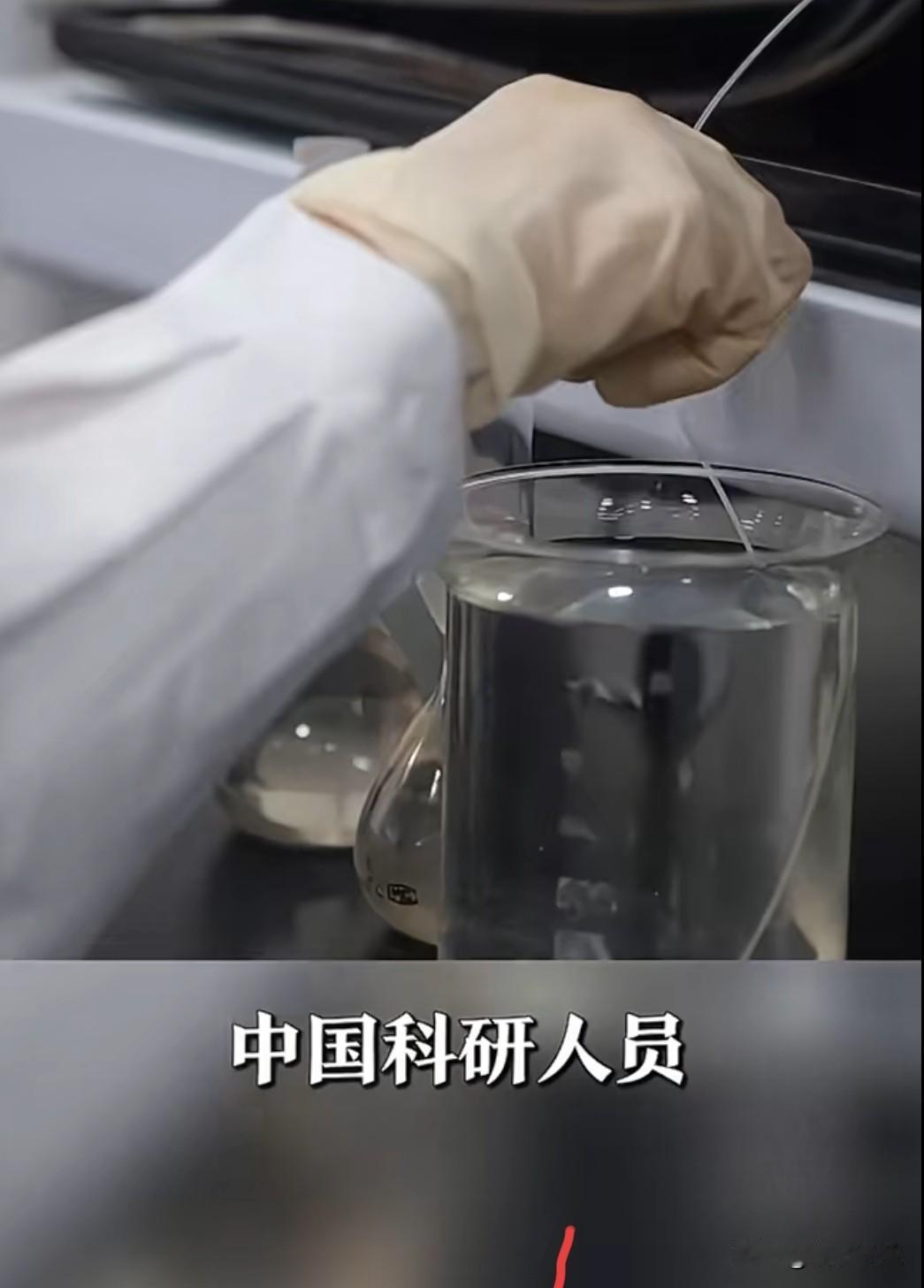 我国科学家最近有个震惊世界的发现：一种名叫 “鸟毛蕨” 的蕨类植物，竟然能像 “