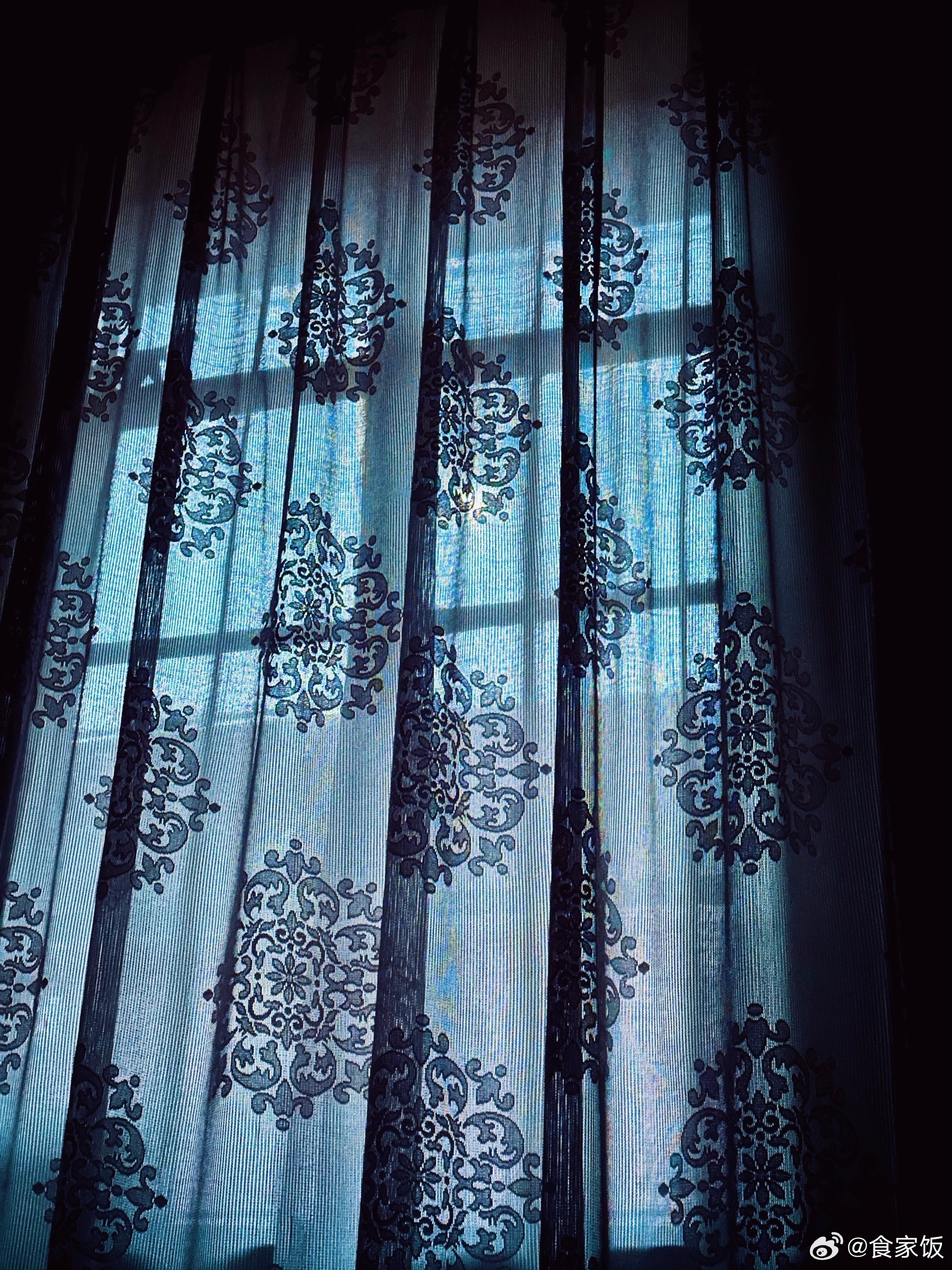 原来，清晨五点半的天是蓝得如此无边无际；原来，月亮始终在清晨五点半如此看顾着我的