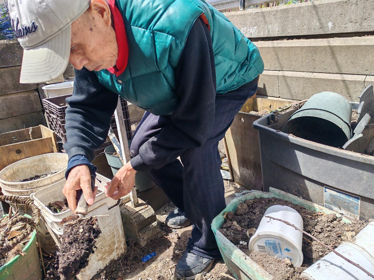 今天，我和老伴儿三先生过得又很充实！把我们的小菜园又继续整理了一番，挖出来的花土