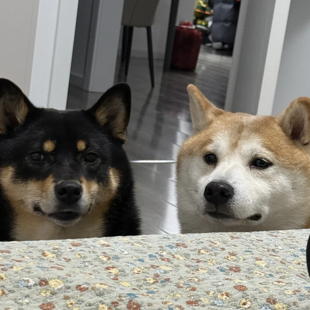 嘻嘻？不嘻嘻？