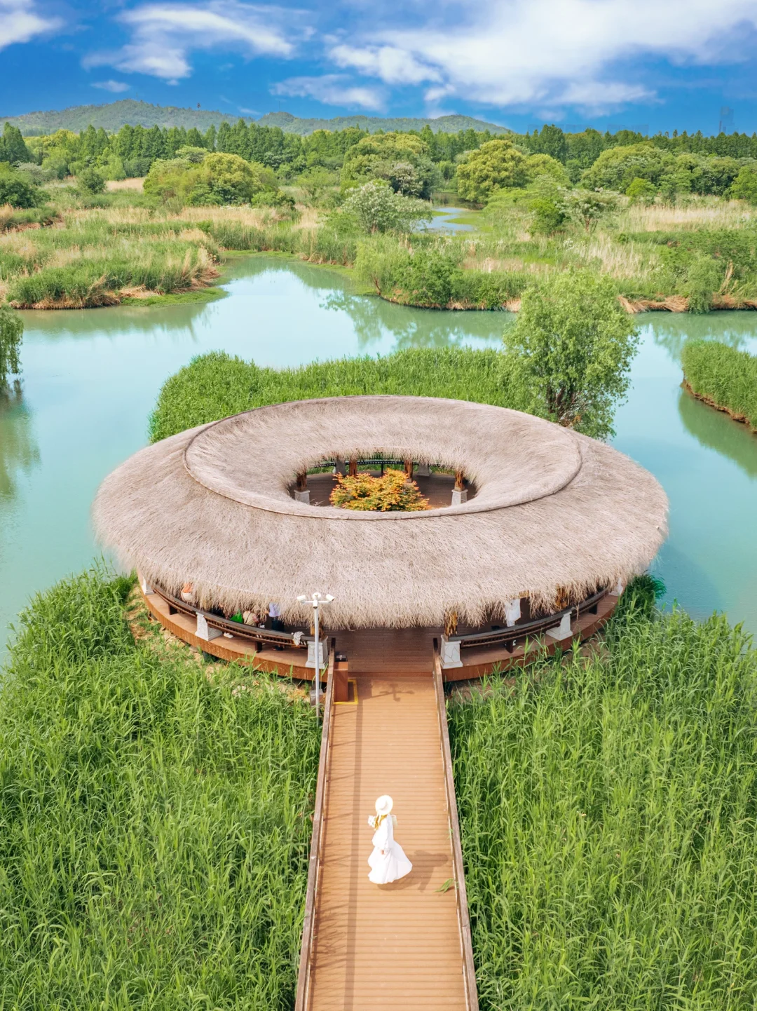 江浙沪小众天花板！我找到了宫崎骏的夏天🌤️