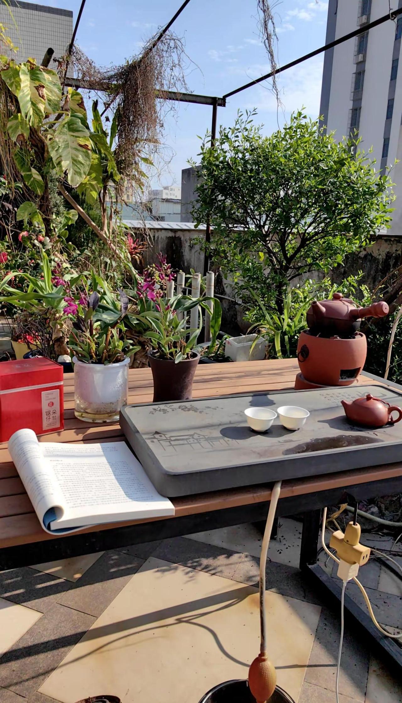 沐浴初春暖阳，一茶，一书，一心境，岁月静好，年华无伤，如此，甚好。