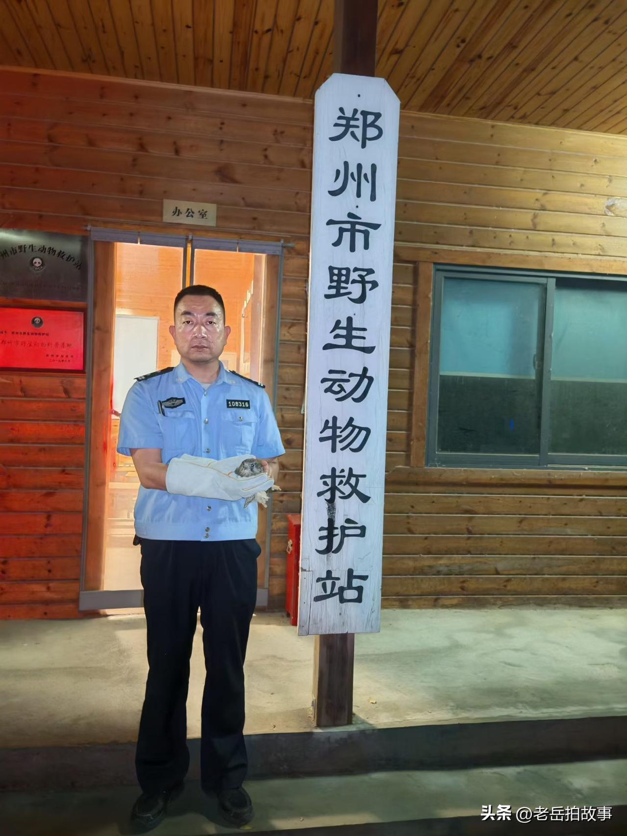 给郑州市公安局中原分局的爱心点个赞！
2026年6月19日(端午节）晚上，郑州市