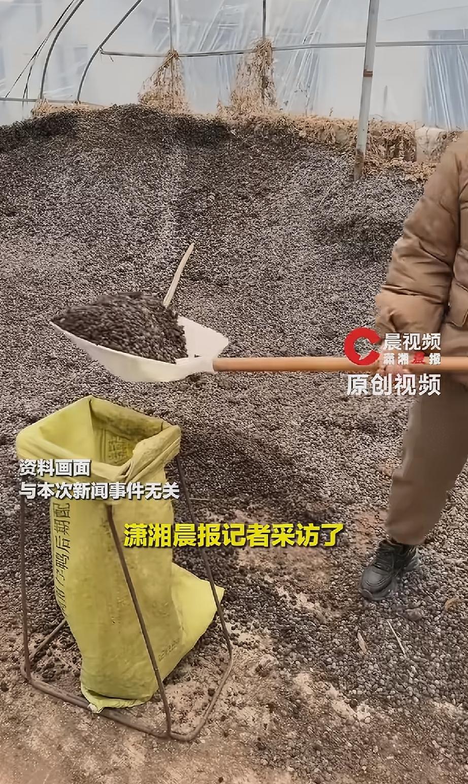 “哭笑不得!” 山东，一名女子为给秋播施肥，网购了50斤羊粪，哪料，竟粗心选择了