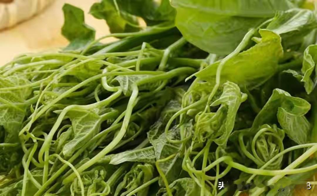 中国农民种的丝瓜
干翻西方百亿军工
刷碗络子 让雷达信号“凭空消失”
 
202