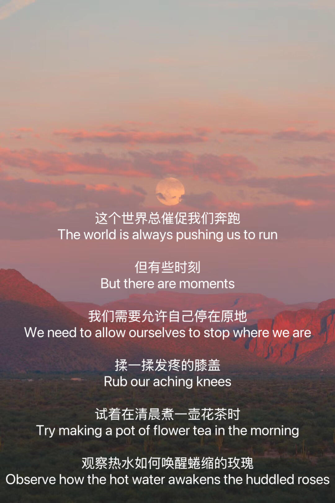 时常觉得生命温暖而美好。 ​​​