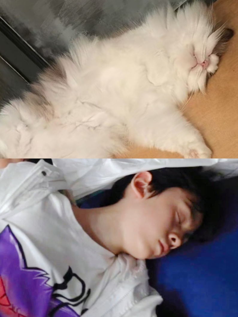 睡吧睡吧我亲爱的宝贝左航一路向海的少年