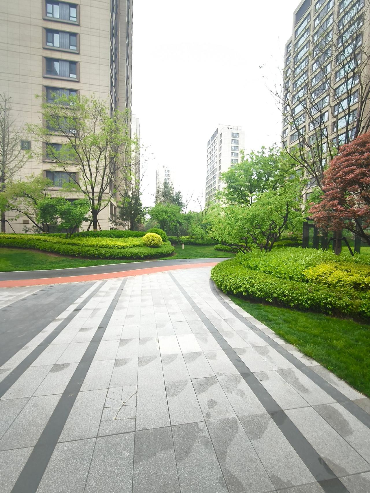 奥体金茂府仍然是长岭山的老大哥，无论是园林绿化，品牌，物业，人群！现在新产品层次