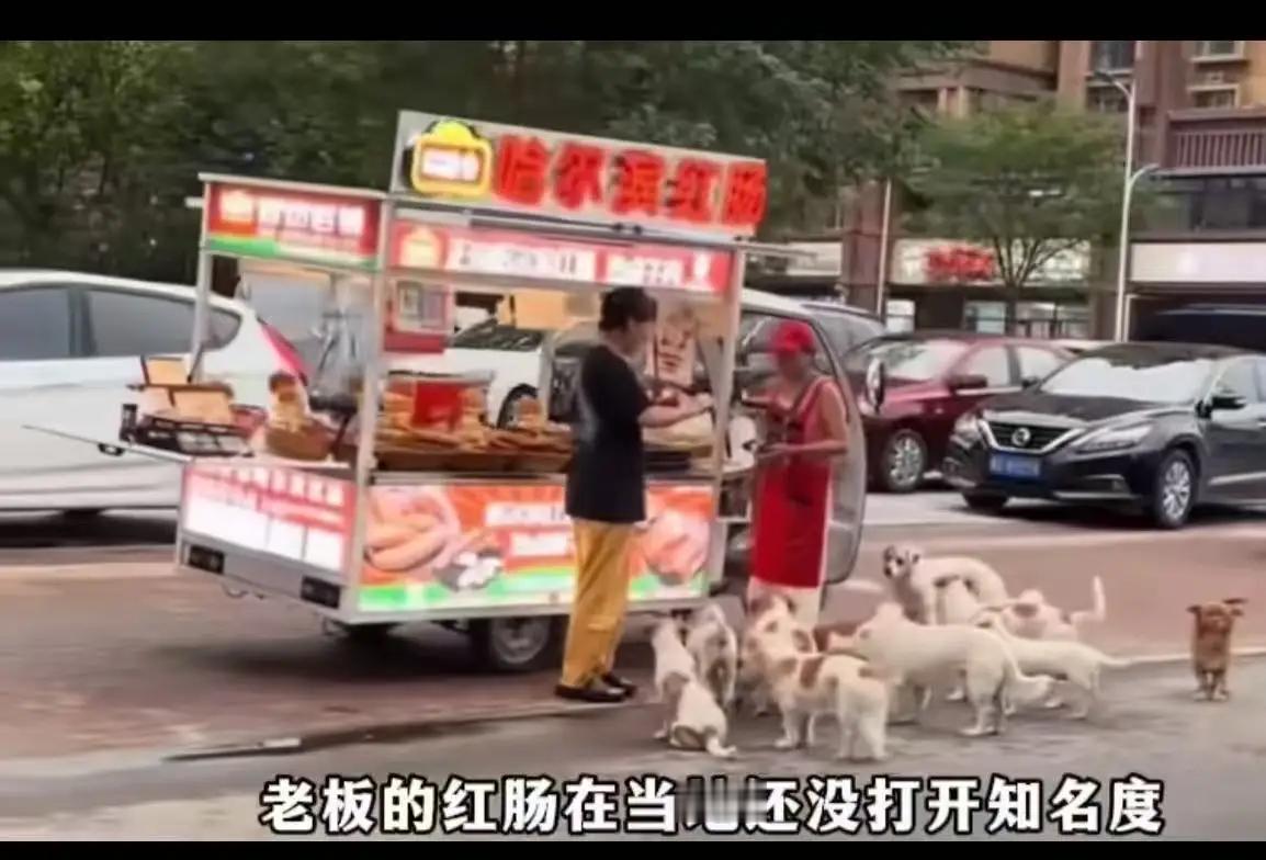 这真的是“有舍就有得”！一个美女摆摊卖哈尔滨红肠icon，随手喂了流浪狗一口，结