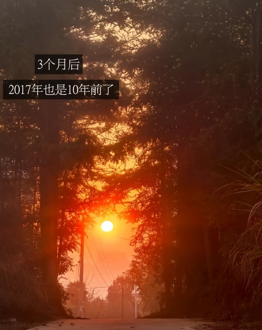 唯一不可阻挡的是时间，它像一把利刃，无声地切开了坚硬和柔软的一切，恒定地向前推进