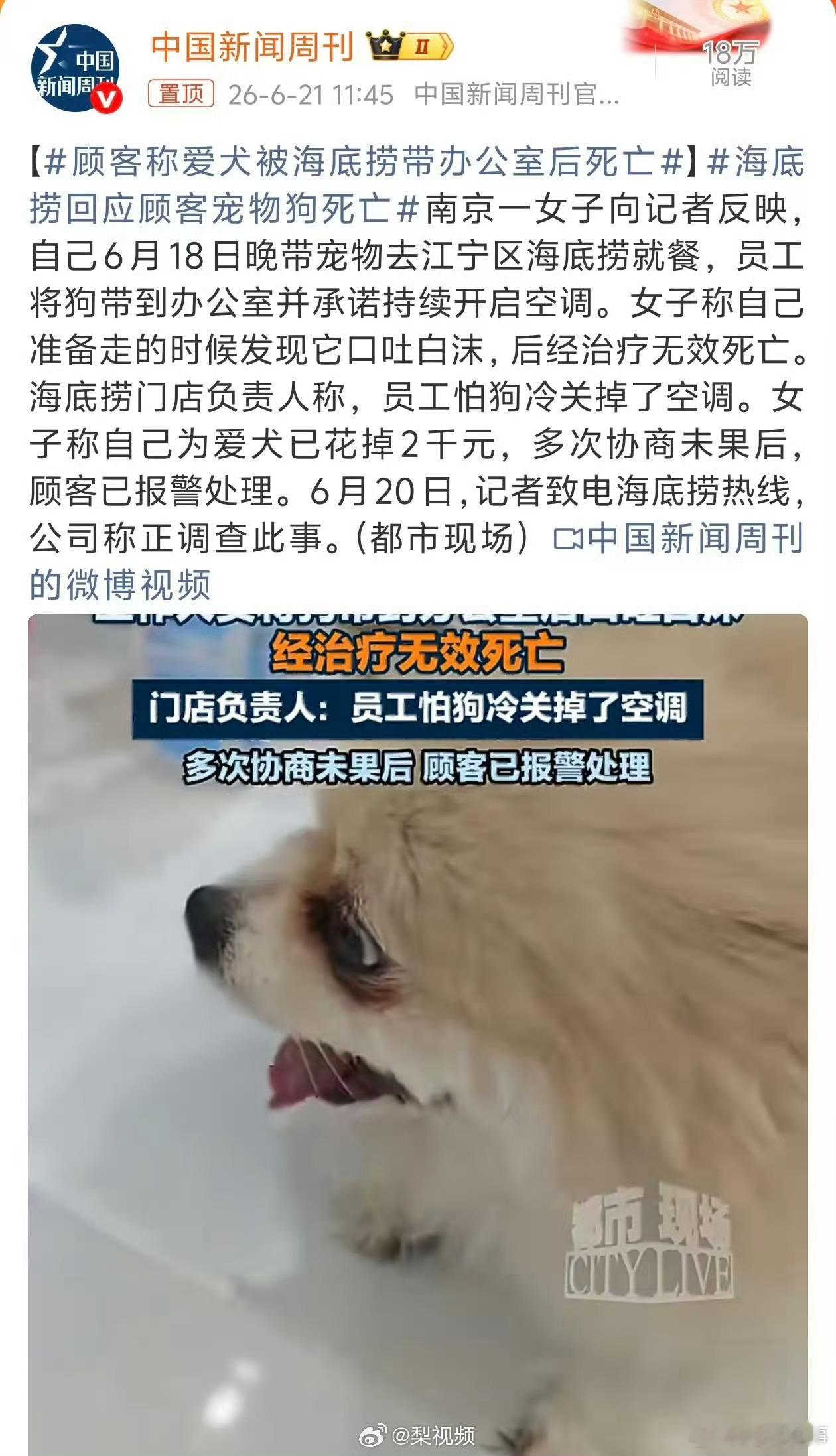 阎肃观察肃言肃语 【海底捞门店回应顾客宠物狗死亡】海底捞门店公布宠物狗死亡事件详