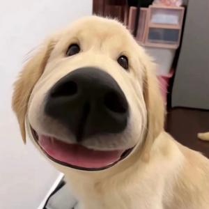 一颗小小小星星