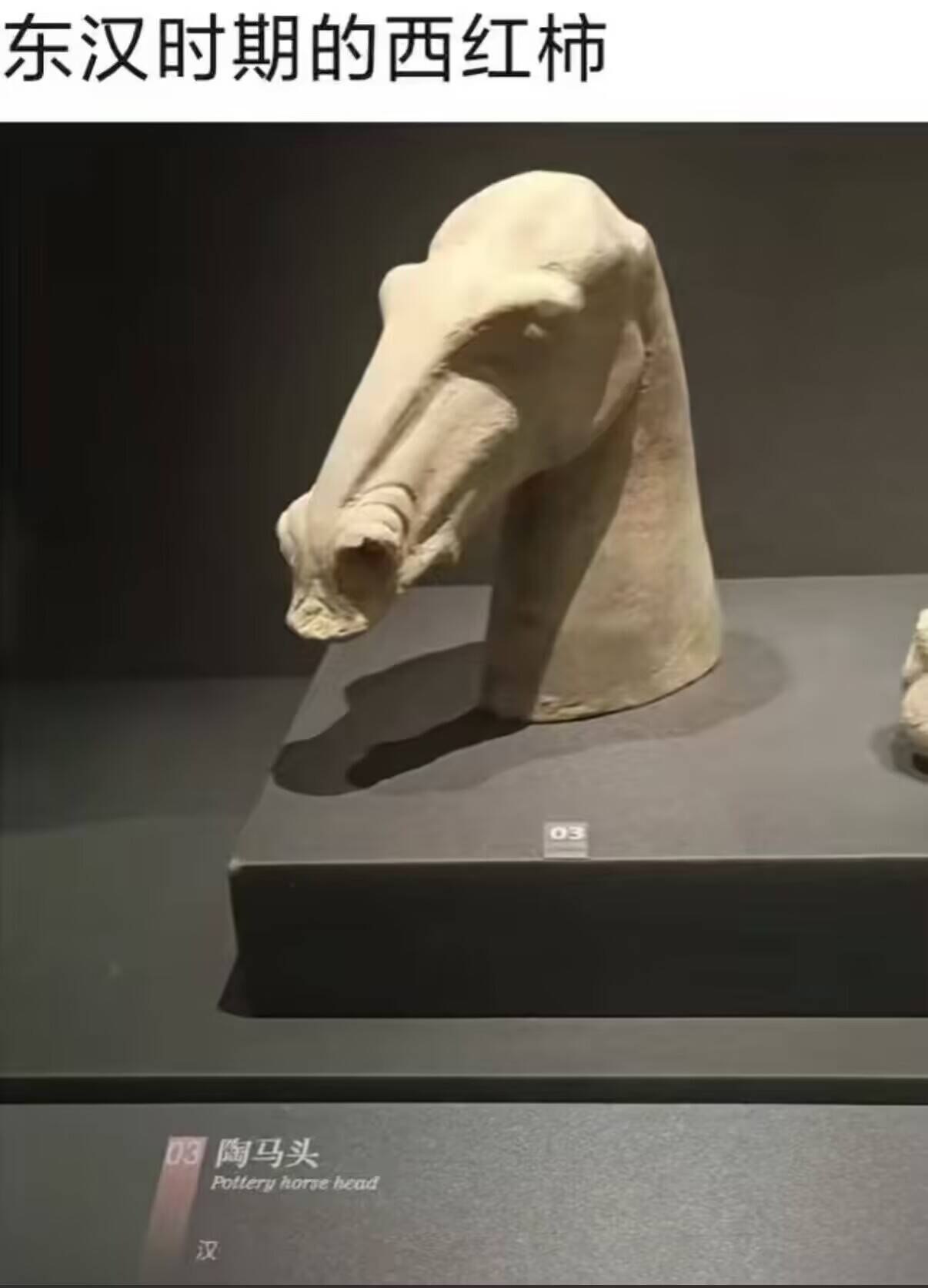 东汉时期的西红柿 ​​​